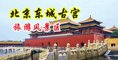 美女用胸挤男人坤巴中国北京-东城古宫旅游风景区